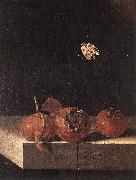 Three Medlars with a Butterfly zsdgf COORTE, Adriaen